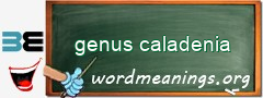 WordMeaning blackboard for genus caladenia